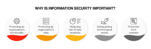 why is information so important?