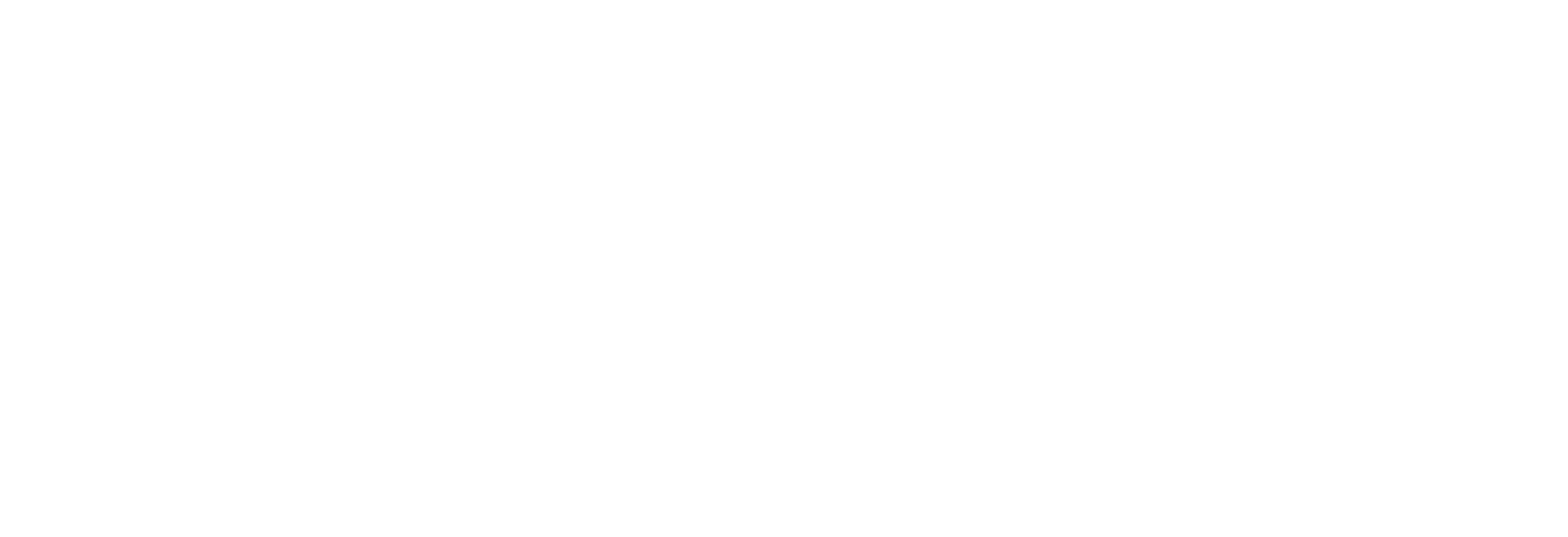 insight partners