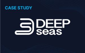 deepseas case study