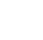 about-section logo (white) - Viso