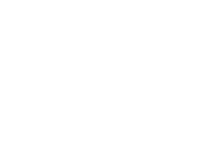 about-section logo (white) - Net Friends